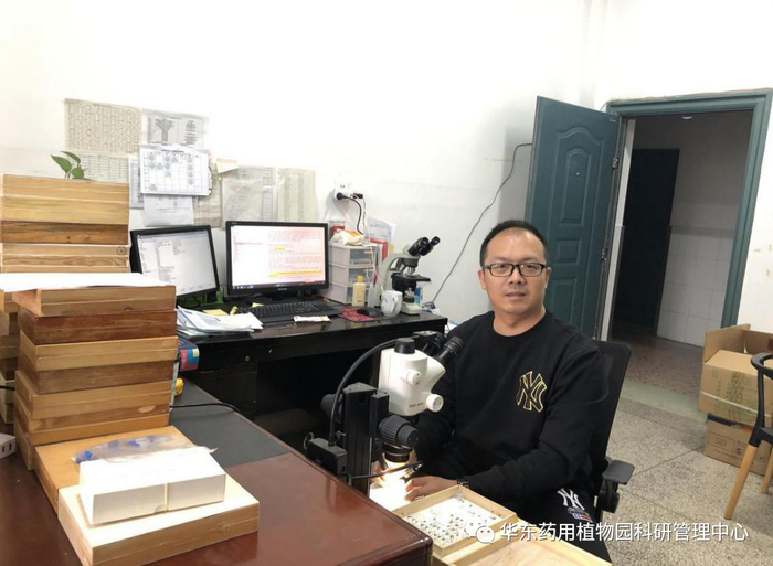 图5 李泽建博士赴中南林业科技大学检视叶蜂模式标本