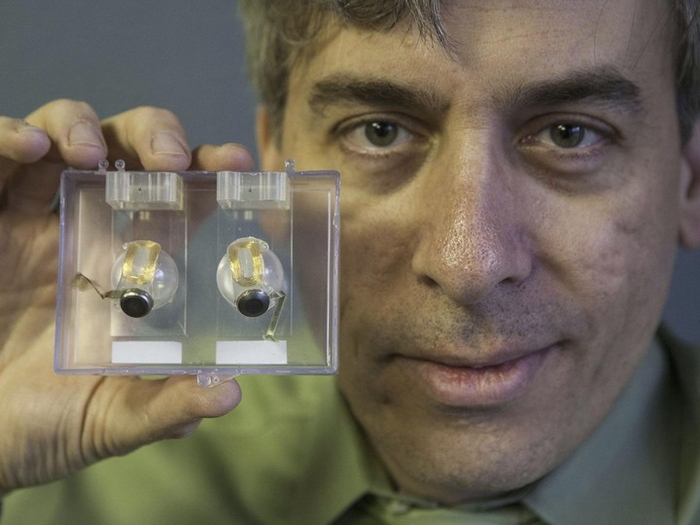 ▲ 图片来自：RINGO CHIU/ZUMA PRESS/ALAMY