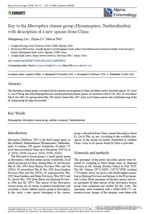 图4 论文发表首页