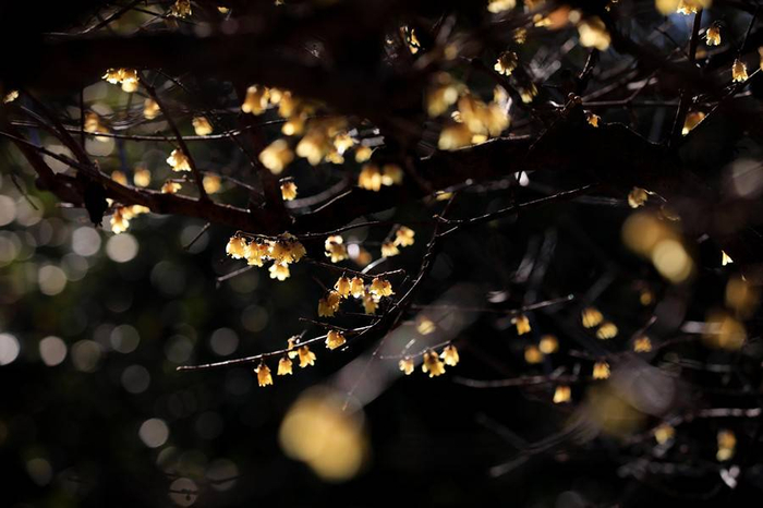 图片来源：视觉中国