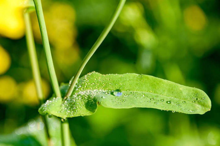 图片来源：视觉中国