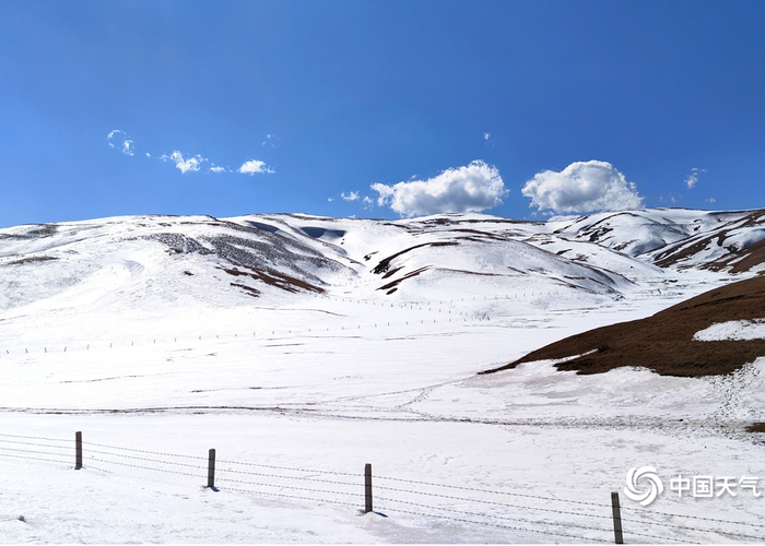 2月17日，曲靖会泽县大海乡草山滑雪场“阳春白雪”美景。蒋琼波 摄