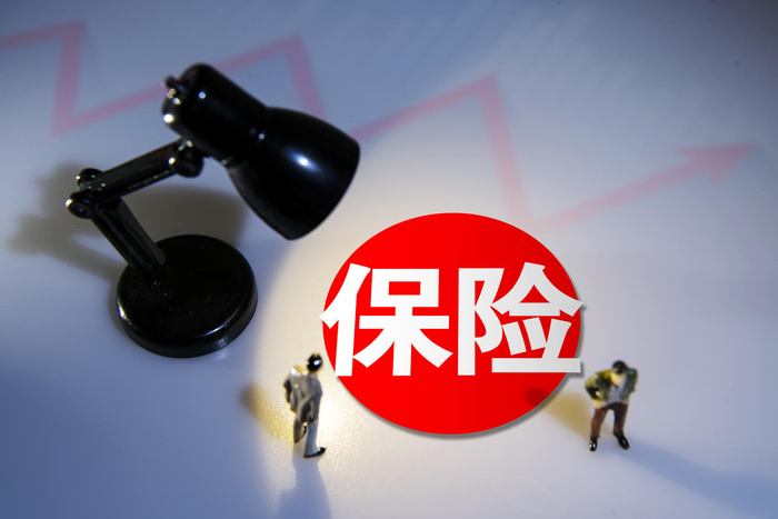 ↑资料图 图据东方IC