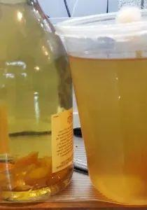 左边是醋鳗含量较少的醋，右边是已经出现大量醋鳗的醋。图片来源：ibcbettas.org