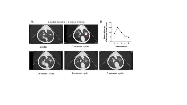图9. YH012在大动物自发肿瘤模型中的响应