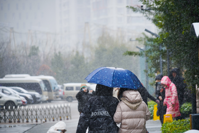 昆明 杨照峰 摄