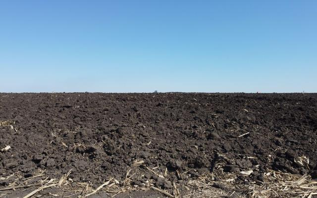 哈尔滨城郊一处准备春耕的黑土地。新京报记者 王颖 摄