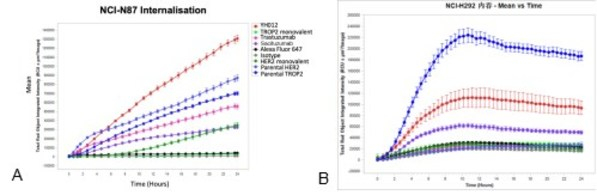 图4. Her2 x Trop2双抗骨架的内吞活性。