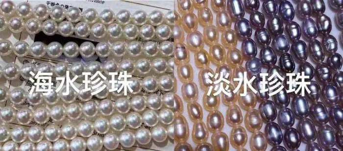 海水珍珠大多圆润，珠层厚，不易褪色。而淡水珍珠易有瑕疵，珠层薄，不耐看。