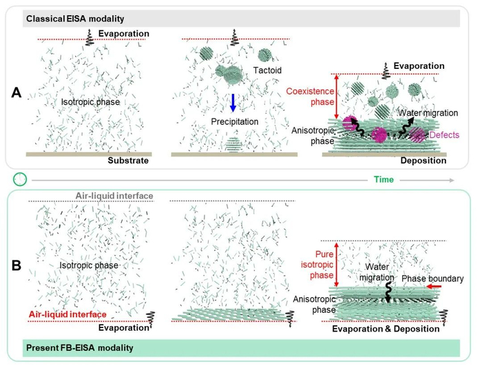 图1-传统的挥发诱导自组装模式VS该工作提出的新的挥发自组装机制