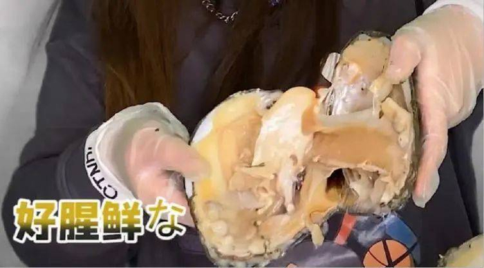 我本将心向珍珠，无奈开蚌臭如渠。/短视频平台@怪味阿追