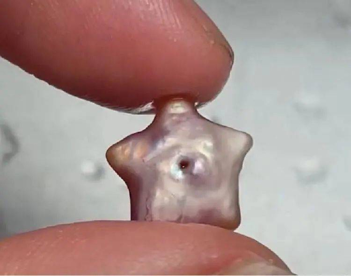 这个五角星珍珠上面居然有孔……不要欺负老实人。/短视频平台@怪味阿追