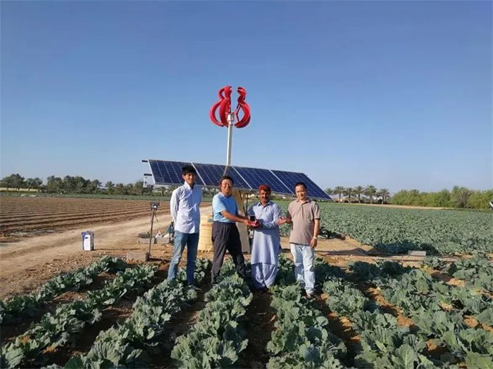 风光智能节水灌溉试验基地。受访者供图
