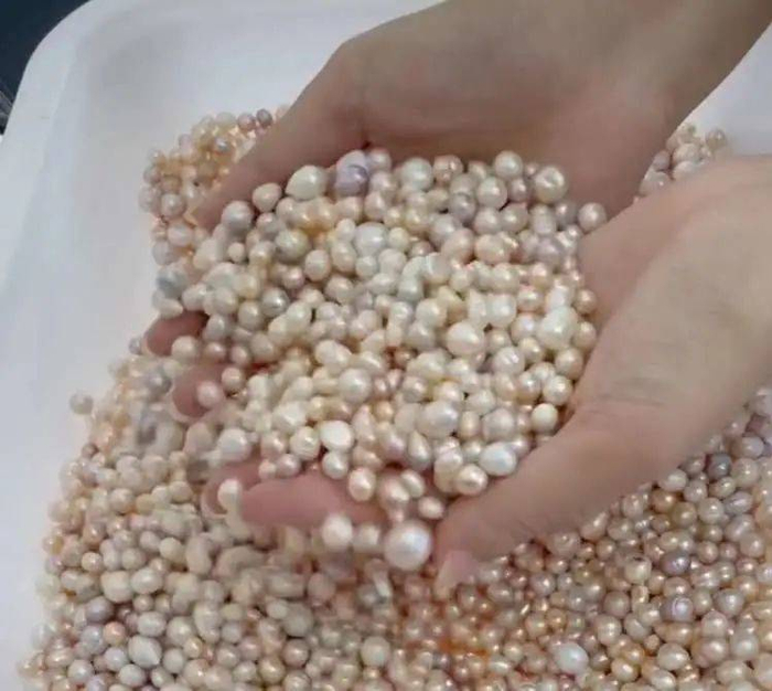 各种各样的珍珠。/图源网络