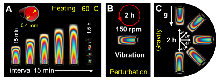 图4-该限域自组装对复杂环境优异的稳定性