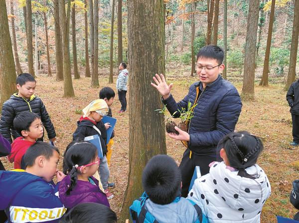 长乐林场开展“第二课堂—探索气生根之谜”活动