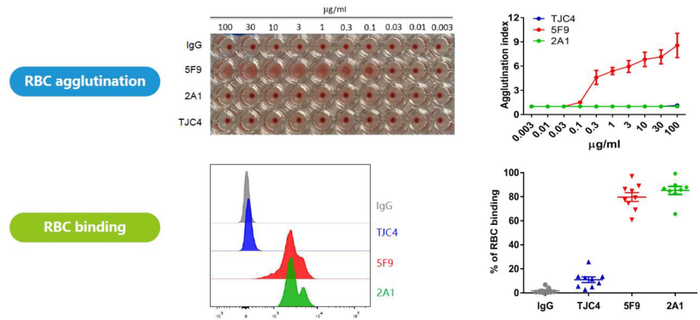 资料来源：公司公告，中金公司研究部