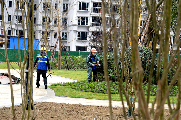恒大御景半岛七期已全面复工 图片来源：成都市住建局提供