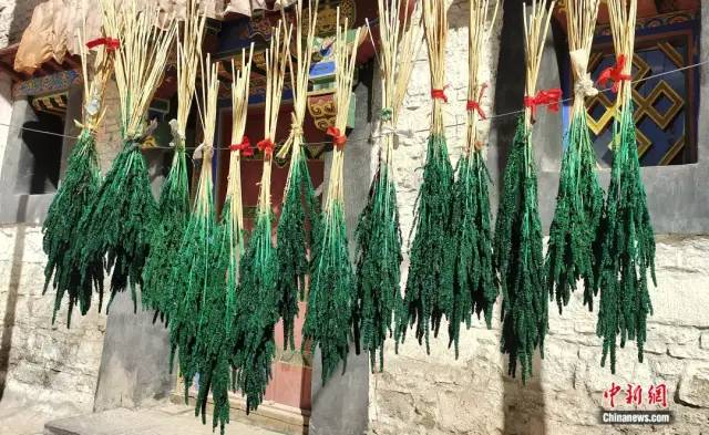 图为拉萨市桑木社区民众晾晒的藏历新年年花。中新社记者 贡桑拉姆 摄