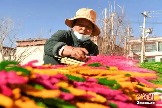 图为拉萨市民销售藏历新年年花。中新社记者 贡嘎来松 摄
