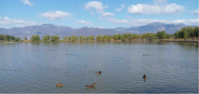 北京野鸭湖湿地公园（微信公众号“国资京京”）