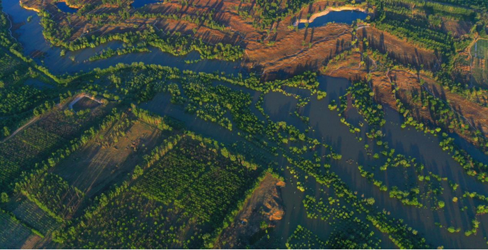 永定河北京段生态补水盎然生机（微信公众号“国资京京”）
