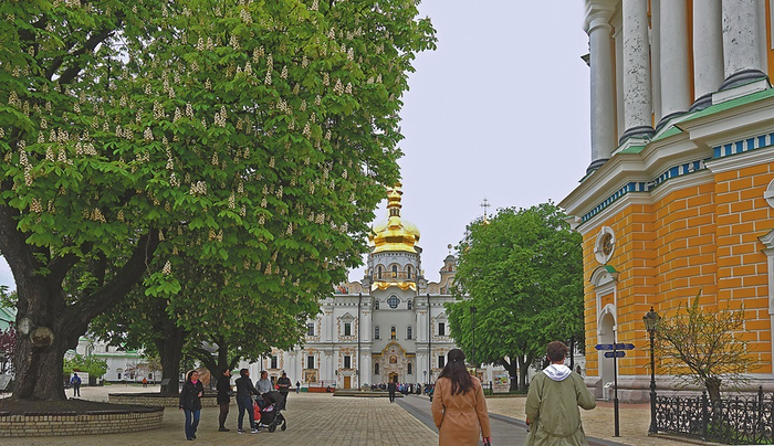 早春，基辅板栗花飘香。