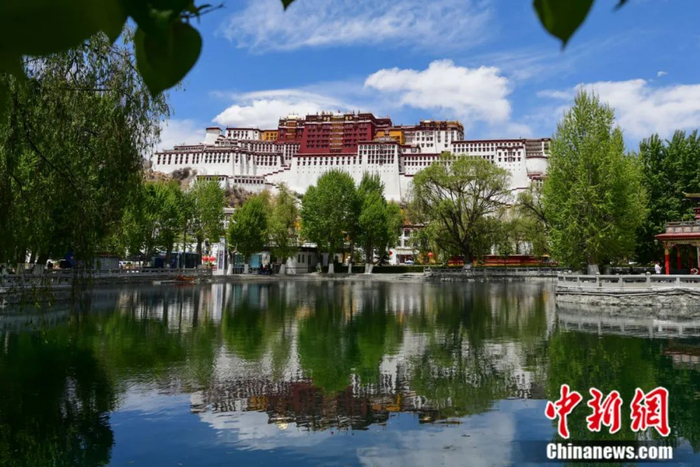 布达拉宫。中新社记者 贡嘎来松 摄
