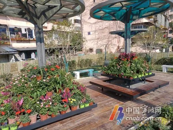 鹂西走廊，宁波园林绿化中心提供