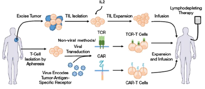 资料来源：AIChE.org、中金公司研究部