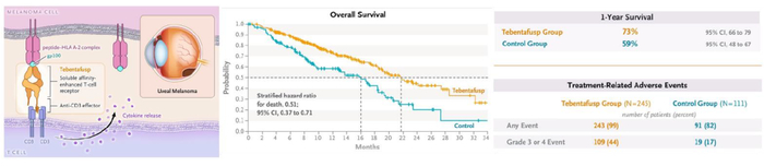 资料来源：NEJM、Immunocore、中金公司研究部