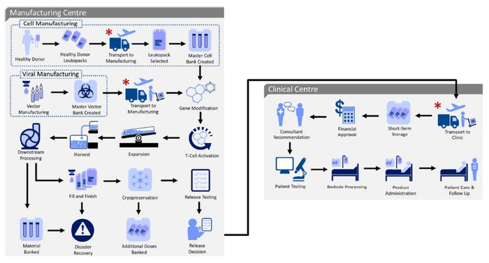 资料来源：Harrison et al., 2019, Cytotherapy、中金公司研究部