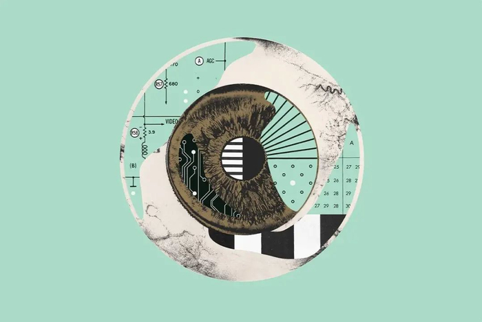 图片来自：Usc.edu/迈克·麦奎德