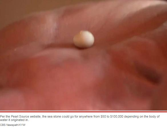 蛤蜊中的珍珠 图源：美媒