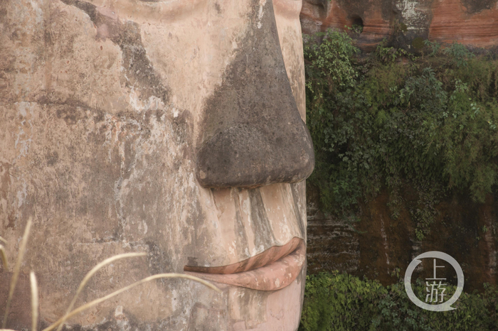 ▲2月23日，四川，乐山大佛木质结构的鼻部出现了“发黑”情况。摄影/上游新闻记者 沈度