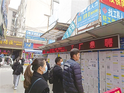 在人才市场，求职者驻足了解招聘信息 林婷玉/摄