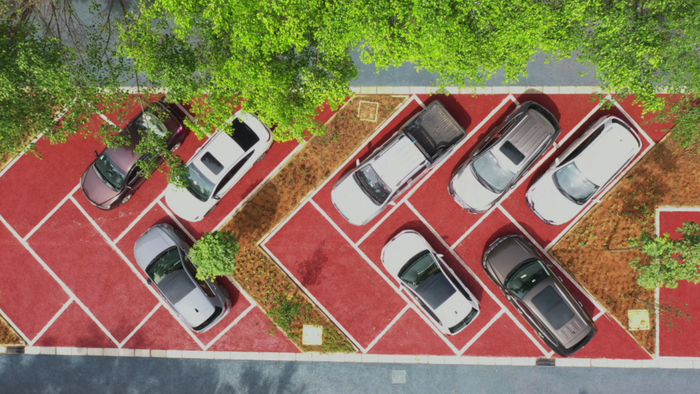 资料图 镇康县融媒体中心供图