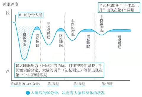 图片来源：《斯坦福高效睡眠法》