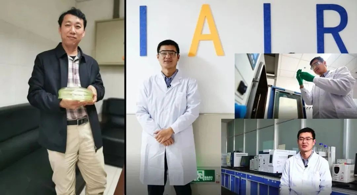 研究团队主要成员