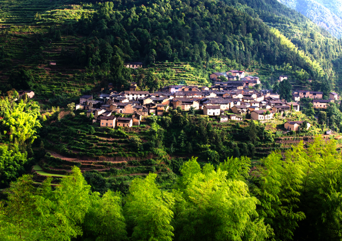 位于松阳县三都乡的呈回村，图源：松阳县政府 