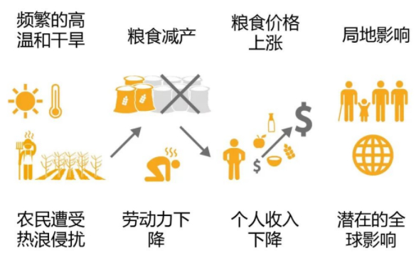 气候变化风险的传递及复杂性。图源：气候变化研究进展气候变化风险的传递及复杂性。