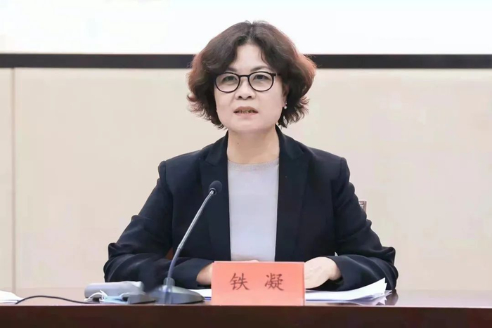 中国作协主席、中国文联主席铁凝 图片来源：主办方提供