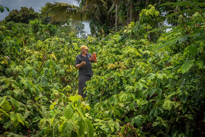 巴西香可可种植场与所有人 © Andre Dib / WWF-Brazil&nbsp;
