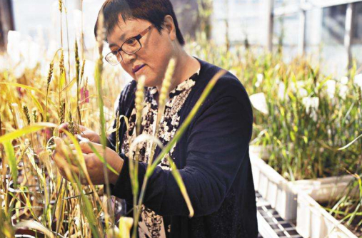 图源takungpao.com.hk