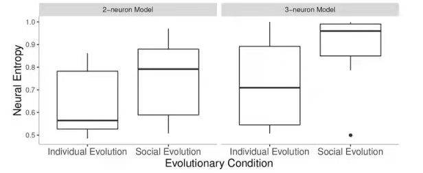 图3. 独立和交互环境下2-神经元模型和3-神经元模型的神经熵比较