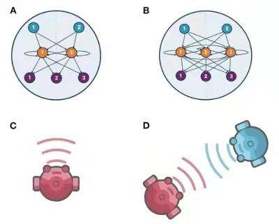 图1. 智能体神经结构与演化环境示意图