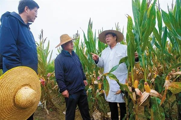 2月20日，研究员毛建昌（右一）向种业企业代表