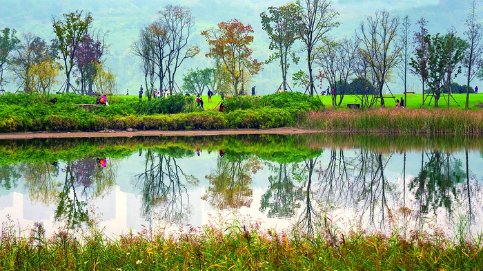     生态广阳岛  颜瀚 摄