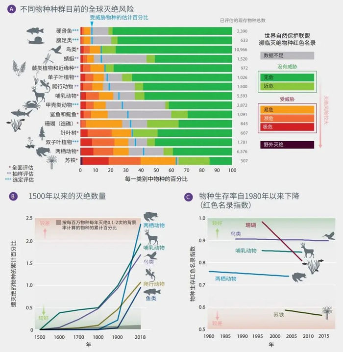 全球物种面临着较高的灭绝风险。图片来自：IPBES