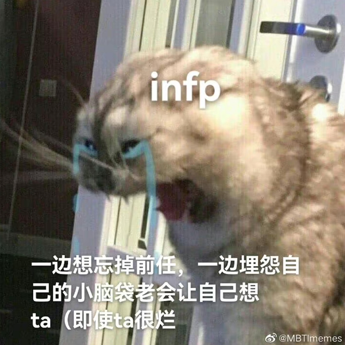 为什么舔狗总是我？